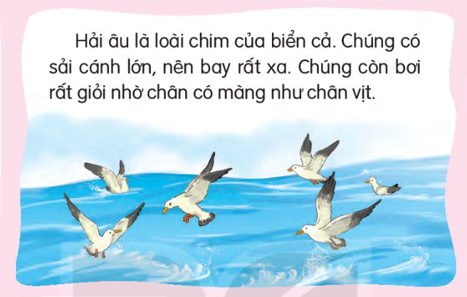 Tuần 29 - TV - Loài chim của biển cả ( Tiết 1,2)