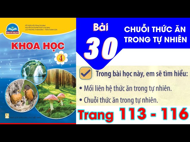 Khoa học 4: Chuỗi thức ăn trong tự
